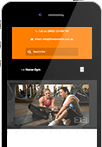 Gym Website - WordPress
